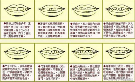 牙齒整齊面相|面相大全——牙齒